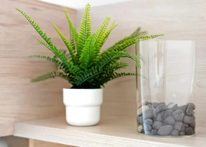 Casa Laura Y Juan Апартаменты